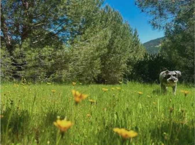 Parcela PARCELAS HERMOSAS A MINUTOS PLAYA Y LAGUNA TORCA, 5000M2 ROL