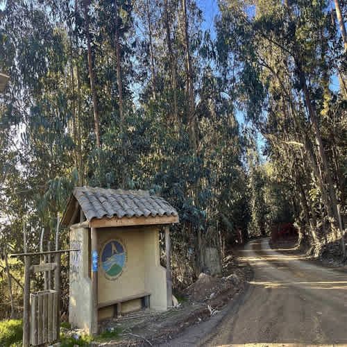 Parcela PARCELAS HERMOSAS A MINUTOS PLAYA Y LAGUNA TORCA, 5000M2 ROL