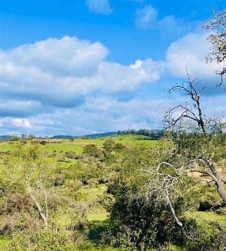 Parcela PARCELAS HERMOSAS A MINUTOS PLAYA Y LAGUNA TORCA, 5000M2 ROL