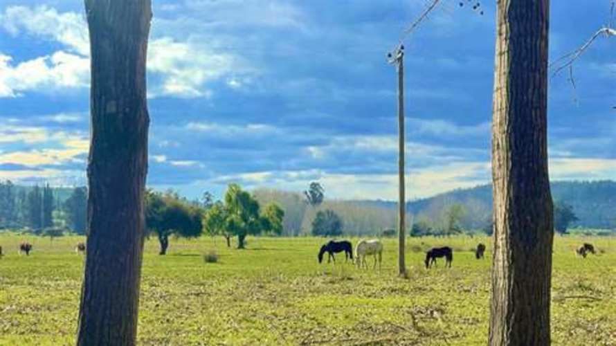 Parcela PARCELAS HERMOSAS A MINUTOS PLAYA Y LAGUNA TORCA, 5000M2 ROL