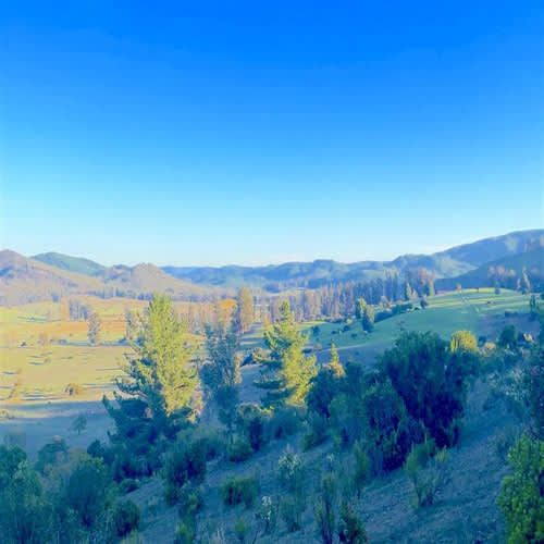 Parcela PARCELAS HERMOSAS A MINUTOS PLAYA Y LAGUNA TORCA, 5000M2 ROL