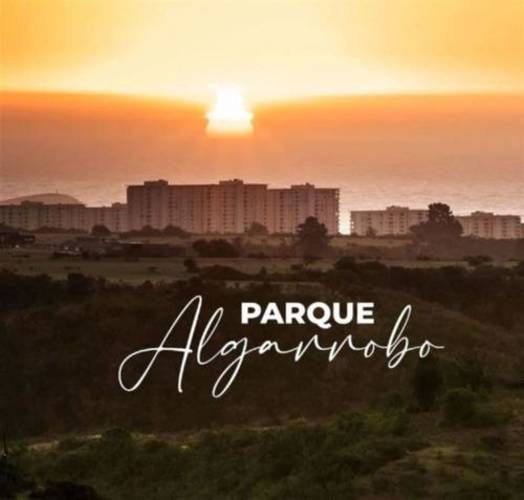 Parcela PARCELAS EN ALGARROBO TERRENOS DE 5 HECTÁREAS ROL PROPIO