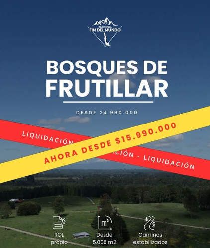 Parcela PARCELAS EN OFERTA FRUTILLAR 5000M2 DESCUENTO AÑO 2025