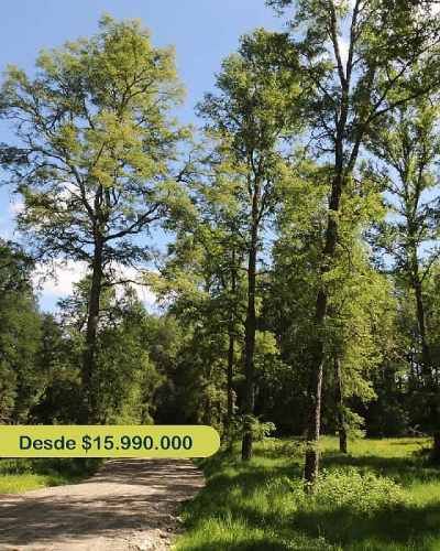 Parcela PARCELAS EN OFERTA FRUTILLAR 5000M2 DESCUENTOS 2025