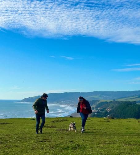 Parcela PARCELAS VISTA AL MAR EN DUAO ILOCA ROL PROPIO 5000M2