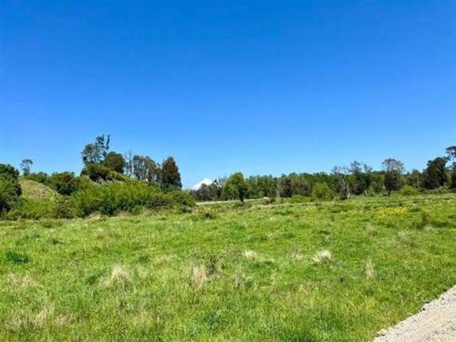 Parcela PARCELAS A 3 MINUTOS DEL LAGO RUPANCO ACCESO A RÍO