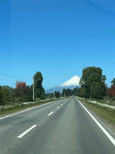 Parcela PARCELAS A 3 MINUTOS DEL LAGO RUPANCO ACCESO A RÍO