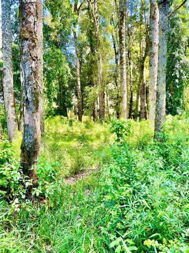 Parcela PARCELAS A 3 MINUTOS DEL LAGO RUPANCO ACCESO A RÍO