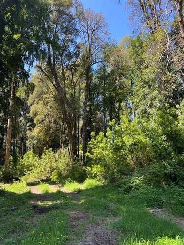 Parcela PARCELAS A 3 MINUTOS DEL LAGO RUPANCO ACCESO A RÍO