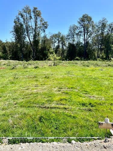 Parcela PARCELAS A 3 MINUTOS DEL LAGO RUPANCO ACCESO A RÍO