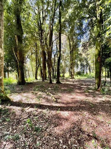 Parcela PARCELAS A 3 MINUTOS DEL LAGO RUPANCO ACCESO A RÍO