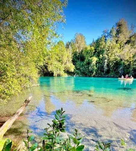 Parcela PARCELAS A 3 MINUTOS DEL LAGO RUPANCO ACCESO A RÍO
