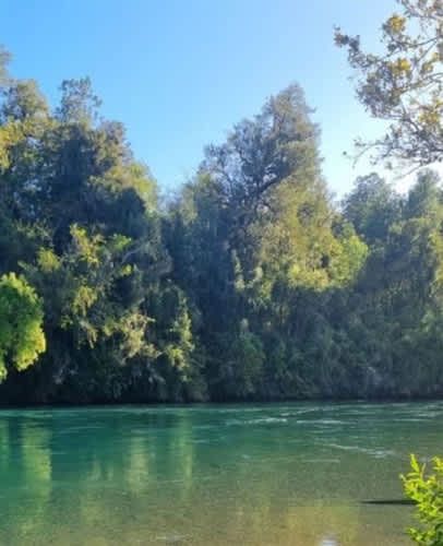 Parcela PARCELAS A 3 MINUTOS DEL LAGO RUPANCO ACCESO A RÍO
