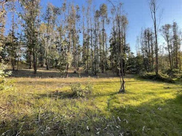 Parcela PARCELAS A 25 MINUTOS DE PLAYA BUCALEMU LIQUIDACIÓN