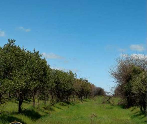 Parcela PARCELAS CON CRÉDITO DIRECTO A MEDIA HORA SANTA CRUZ