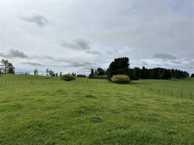 Parcela EXCELENTE PARCELA 2 HAS EN VENTA EN LAGO RANCO