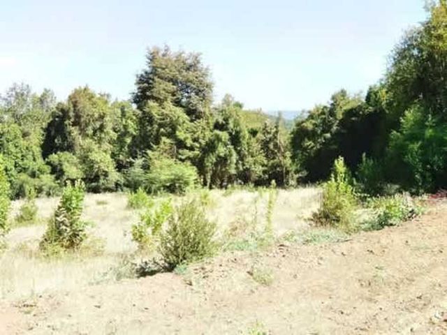 Terreno Construcción TERRENO DE 5.000 M2 EN VENTA EN VILLARRICA