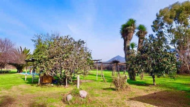 Parcela PARCELA EN VENTA EN PEÑAFLOR 5.000 M2