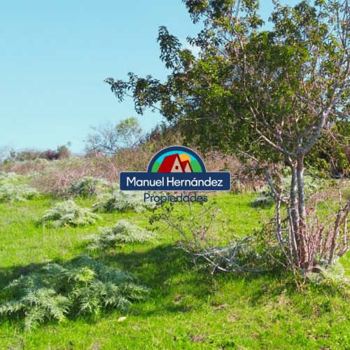 PARCELAS EN LOMAS DE BUCALEMU, SANTO DOMINGO V REGION