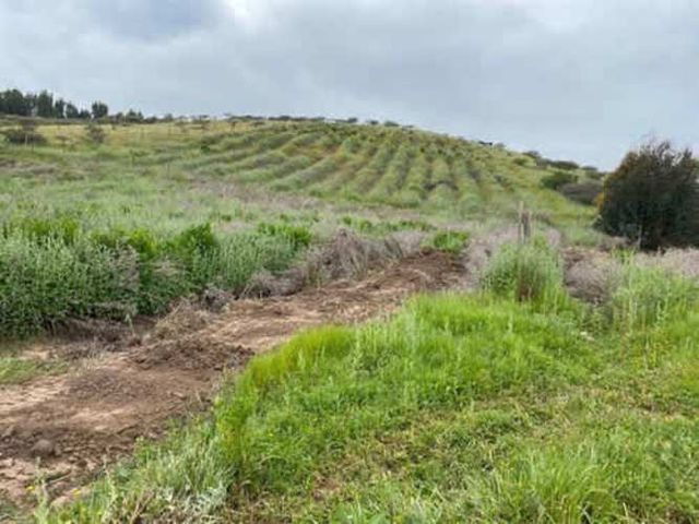 Parcela PARCELA EN VENTA EN CAMPO ALEGRE, SANTO DOMINGO