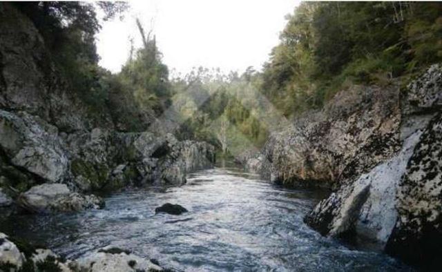 SITIO antes de salmofood, camino W-450, a 4,4 km de carretera.