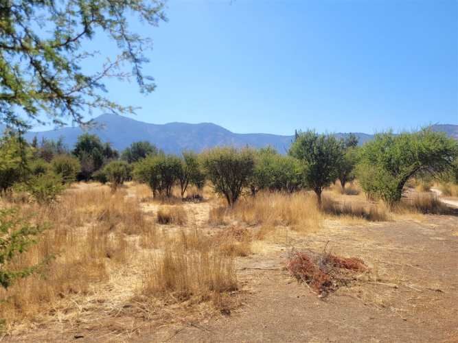 PARCELA BOSQUES DE ACULEO