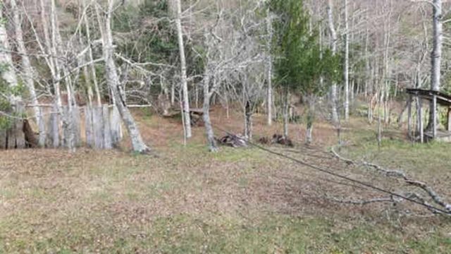 Parcela PARCELA EN VENTA EN PUCÓN (6,2 HECTÁREAS)