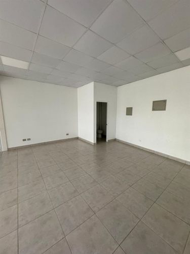 LOCAL COMERCIAL Los creadores