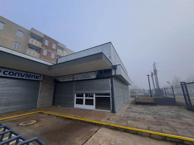 LOCAL COMERCIAL Los creadores