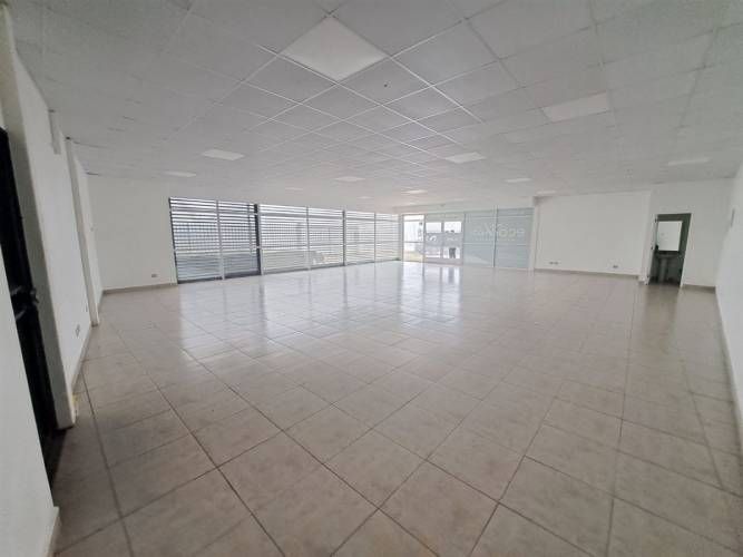 LOCAL COMERCIAL Los creadores