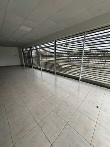 LOCAL COMERCIAL Los creadores