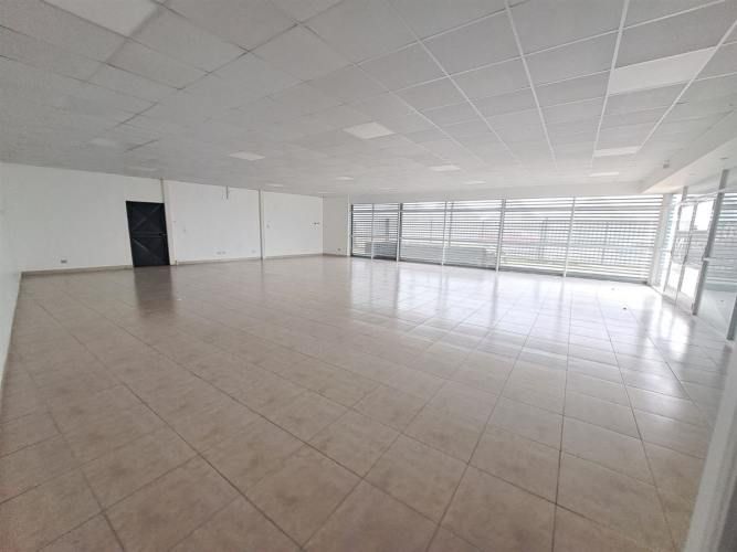 LOCAL COMERCIAL Los creadores