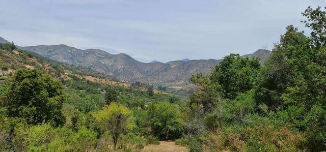 VENTA TERRENO - SITIO 10000MTS Olmué