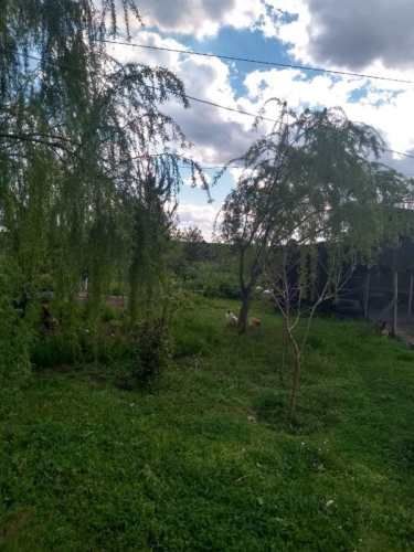 Parcela en el Retiro