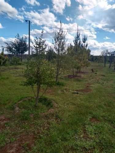 Parcela en el Retiro