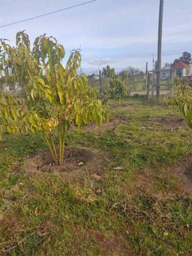 Parcela en el Retiro