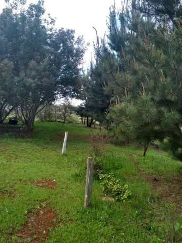 Parcela en el Retiro