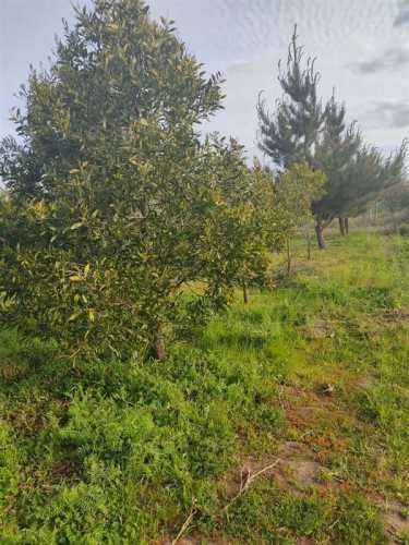 Parcela en el Retiro