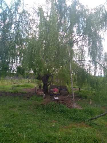 Parcela en el Retiro