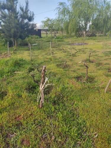 Parcela en el Retiro