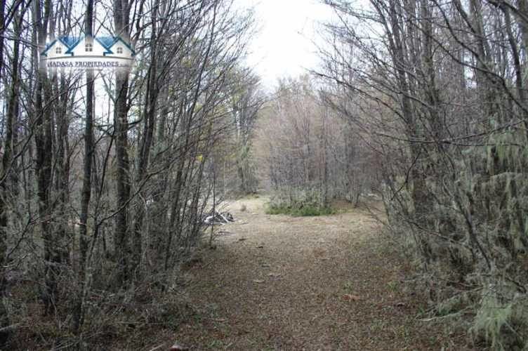 PARCELA SECTOR LA COORDONADA