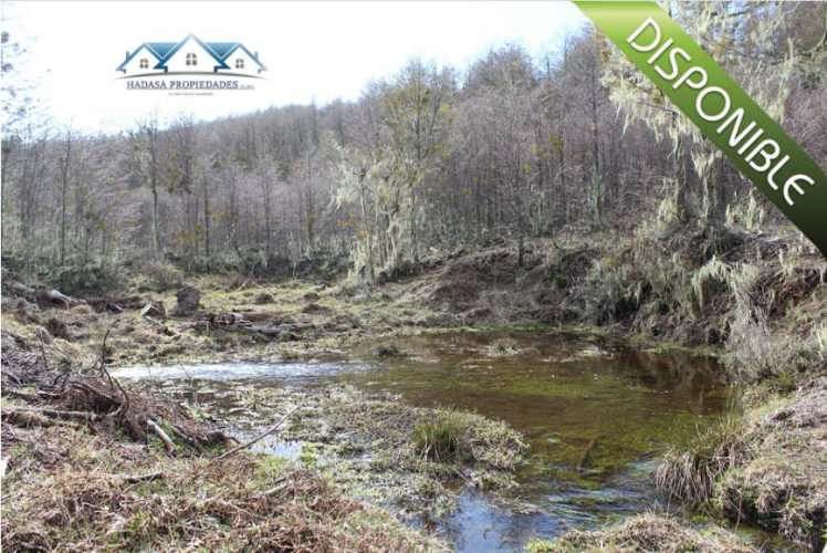 PARCELA SECTOR LA COORDONADA