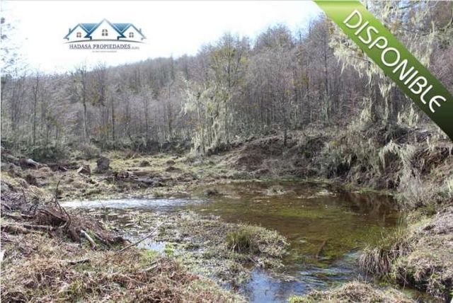 PARCELA SECTOR LA COORDONADA