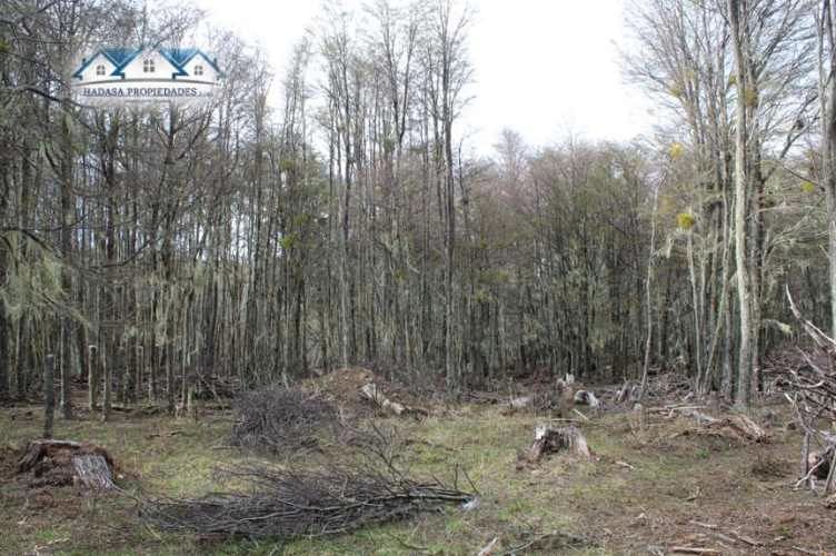 PARCELA SECTOR LA COORDONADA