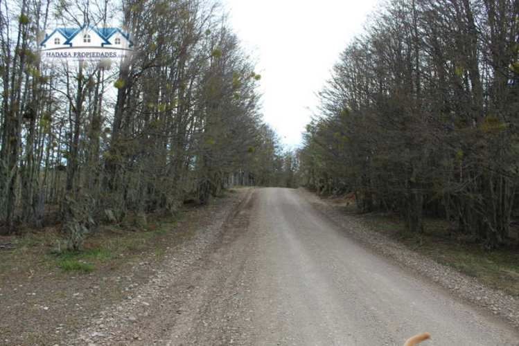 PARCELA SECTOR LA COORDONADA