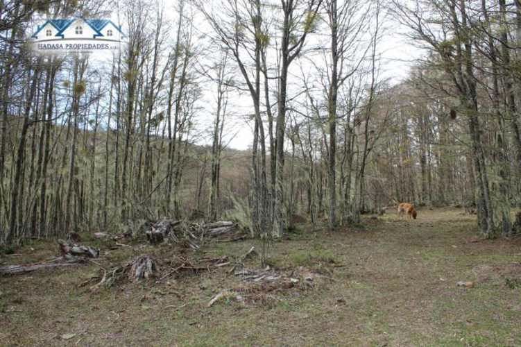 PARCELA SECTOR LA COORDONADA