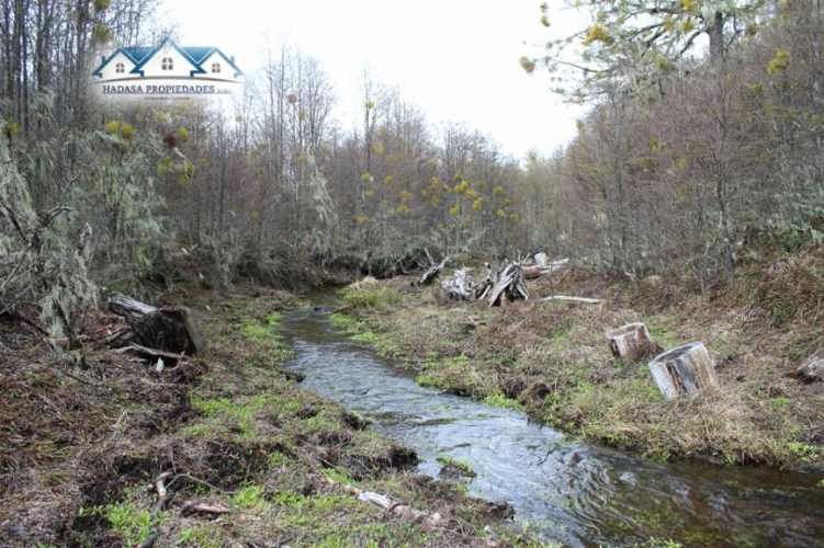 PARCELA SECTOR LA COORDONADA