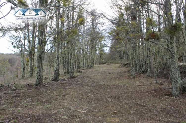 PARCELA SECTOR LA COORDONADA