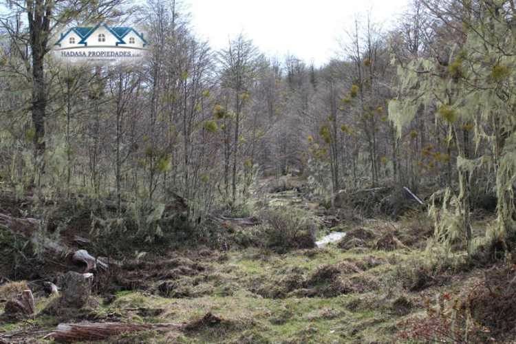 PARCELA SECTOR LA COORDONADA