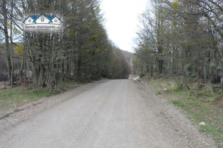 PARCELA SECTOR LA COORDONADA